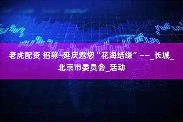 老虎配资 招募~延庆邀您“花海结缘”——_长城_北京市委员会_活动