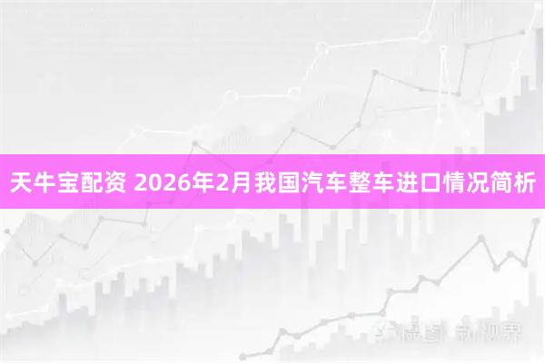 天牛宝配资 2026年2月我国汽车整车进口情况简析